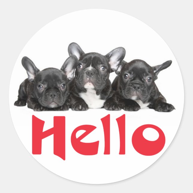 Hello Black French Bulldog Puppy Dog Sticker Seal (Front)