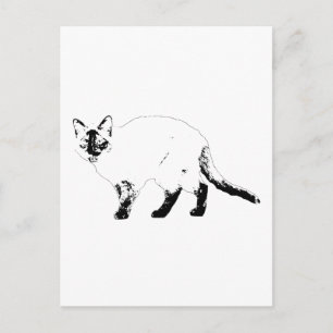 Hello Boldly, Cat Line Post Postcard