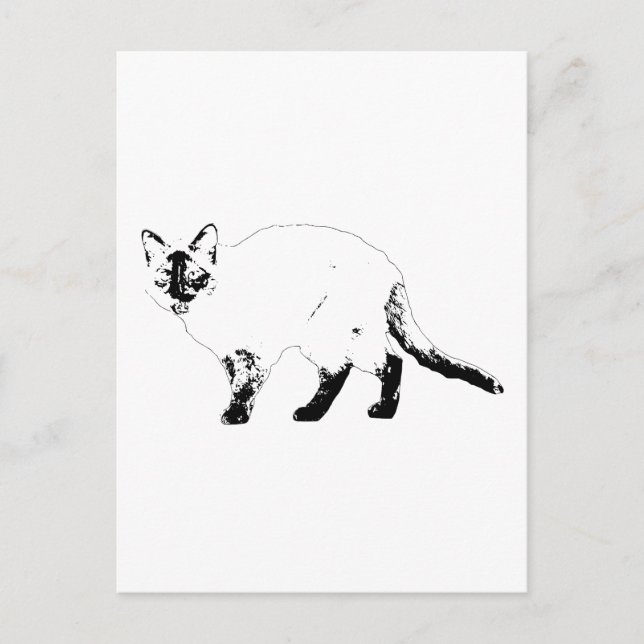 Hello Boldly, Cat Line Post Postcard (Front)