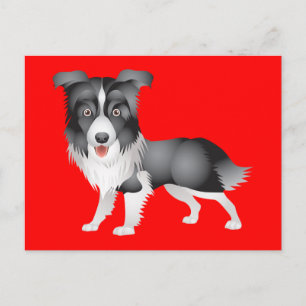 Hello Border Collie Puppy Dog Greeting Post Card