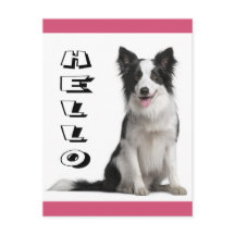 Hello Border Collie Puppy Dog Post Card