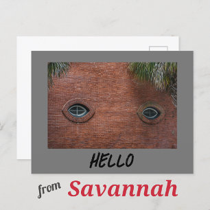 Hello Brick Wall Window Eyes Fun Photographic Postcard