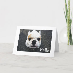 Hello Bulldog Greeting Card - Verse