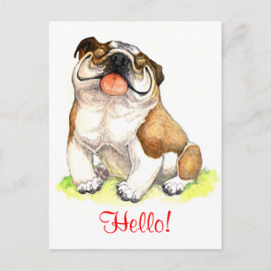 Hello Bulldog Puppy Dog Greeting Postcard