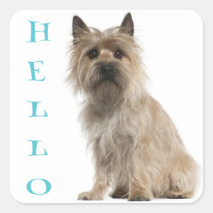 Hello Cairn Terrier Puppy Dog Greeting Stickers
