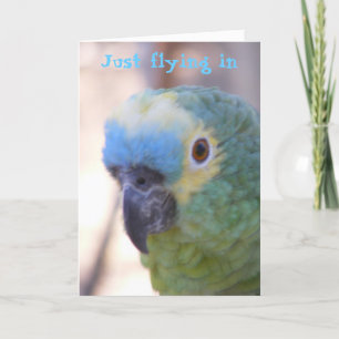 Hello Card