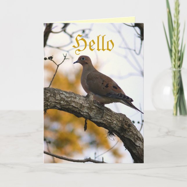 Hello Card (Front)