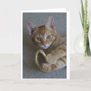 Hello Card