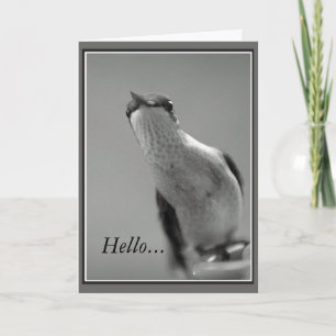 Hello... Card