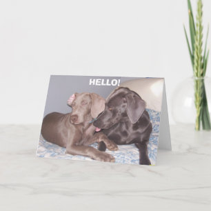 , HELLO! CARD