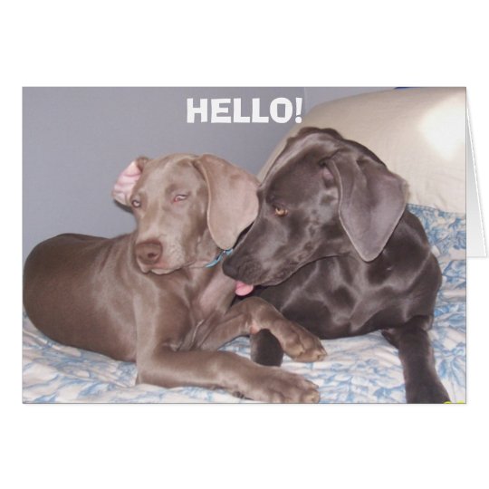, HELLO! CARD
