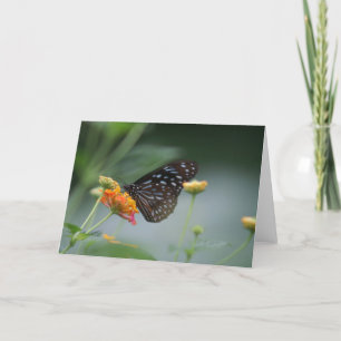 hello card