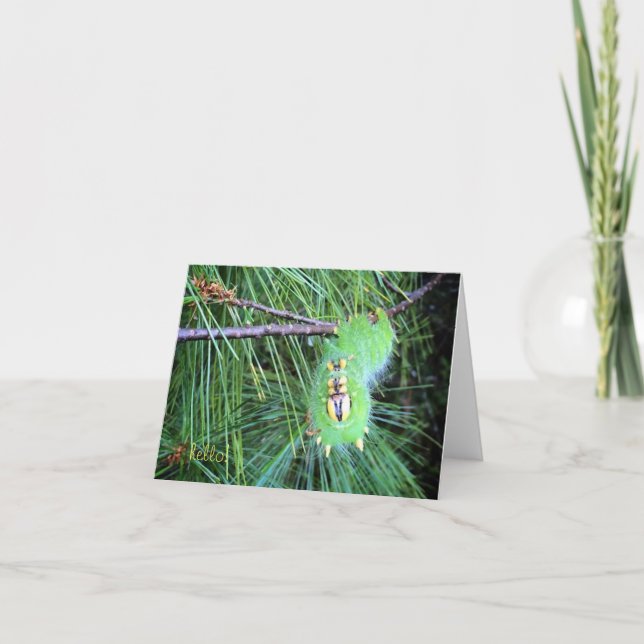 hello caterpillar notecard (Front)