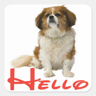 Hello Cavalier King Charles Spaniel Puppy Dog Square Sticker