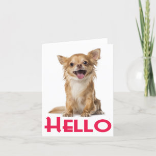 Hello Chihuahua Puppy Dog Blank Notecard