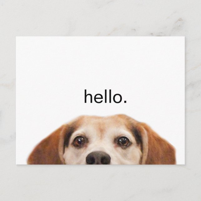 Hello Cute Funny Beagle Dog Modern Trendy Blank Postcard (Front)