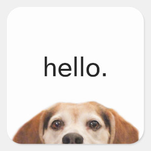 Hello Cute Funny Beagle Dog Modern Trendy Square Sticker
