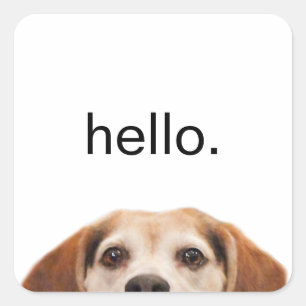 Hello Cute Funny Beagle Dog Modern Trendy Square Sticker