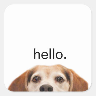 Hello Cute Funny Beagle Dog Modern Trendy Square Sticker