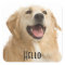 Hello Cute Golden Retriever Puppy Dog Stickers