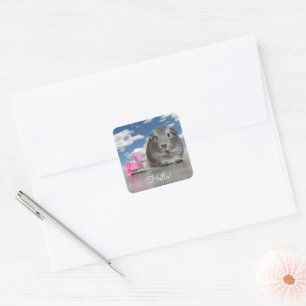 Hello Cute Grey Guinea Pig Pink Flowers Custom Square Sticker