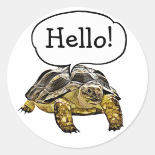 Hello Cute Turtle Stickers