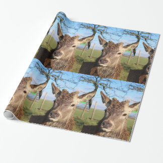 Hello Deer Wrapping Paper