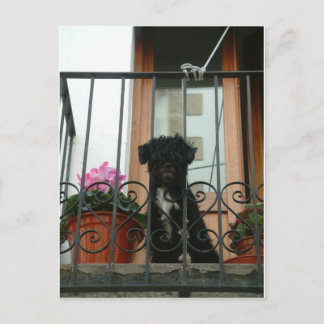 Hello down there postcard