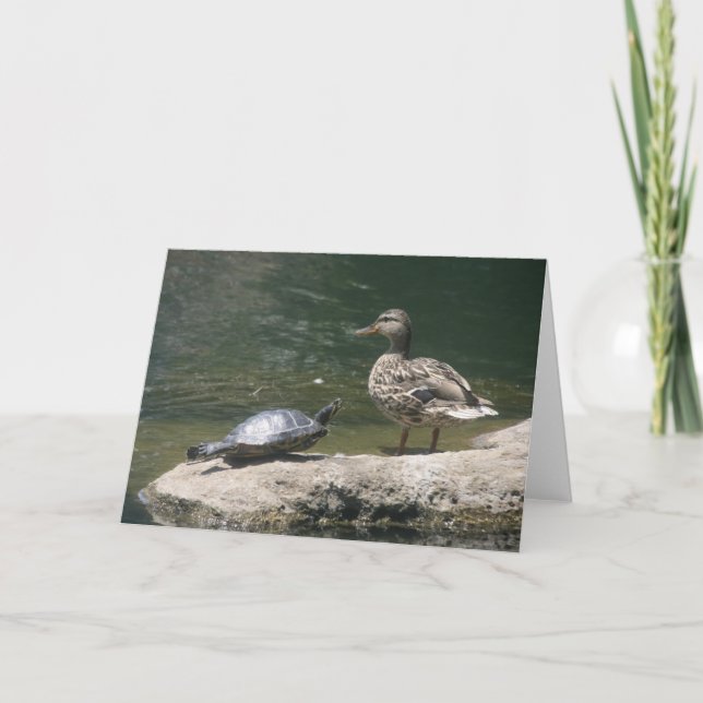 Hello duck card (Front)