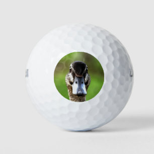 Hello Ducky Quirky Duck Portrait Golf Balls