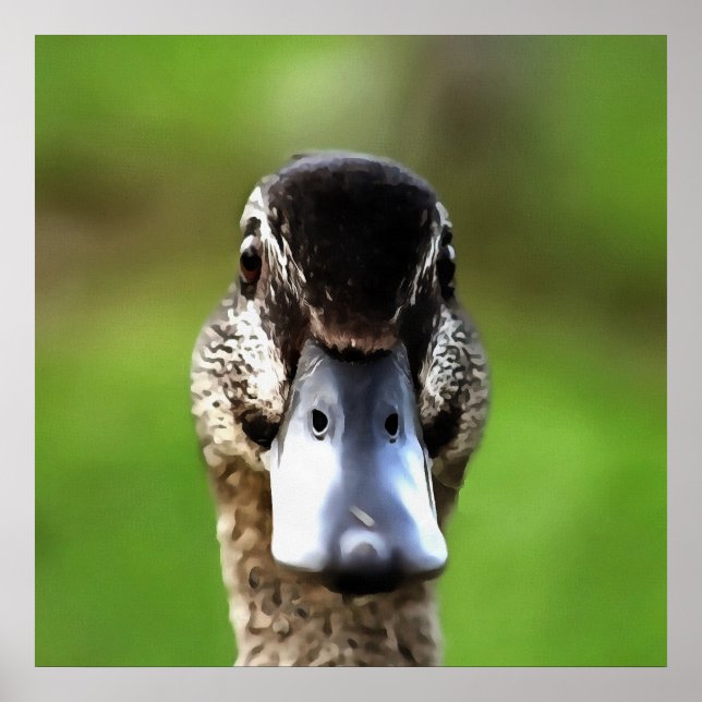 Hello Ducky Quirky Duck Portrait Poster (Front)