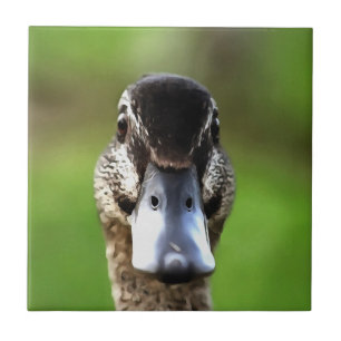 Hello Ducky Quirky Duck Portrait Tile