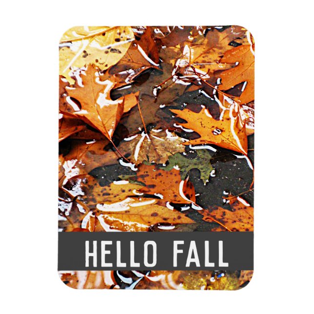 Hello Fall Rainy Leaves   Magnet (Vertical)