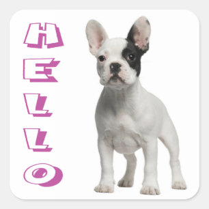 Hello French Bulldog Puppy Dog Sticker / Seal