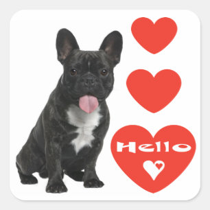 Hello French Bulldog Puppy Dog Sticker / Seals