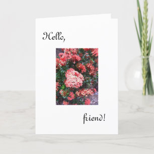 Hello Friend card /been thinking of you