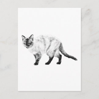 Hello Friend, Cat Art Post Postcard