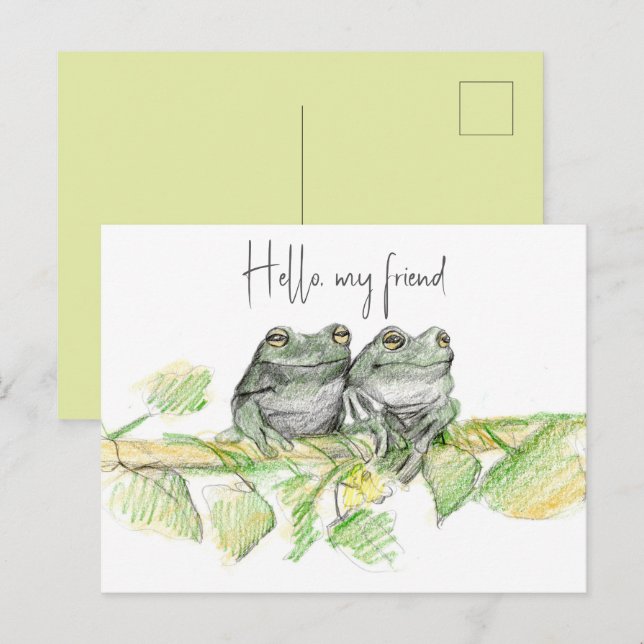 Hello Friend Frogs Tree Branch Nature Drawing Postcard (Front/Back)