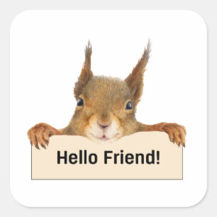 Hello Friend Funny Squirrel Square Sticker