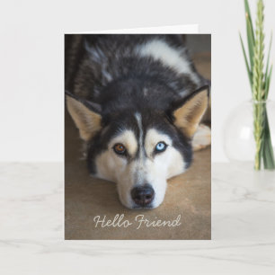 Hello Friend Husky Dog Personalised Greeting Card