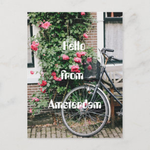 Hello From Amsterdam Postcard