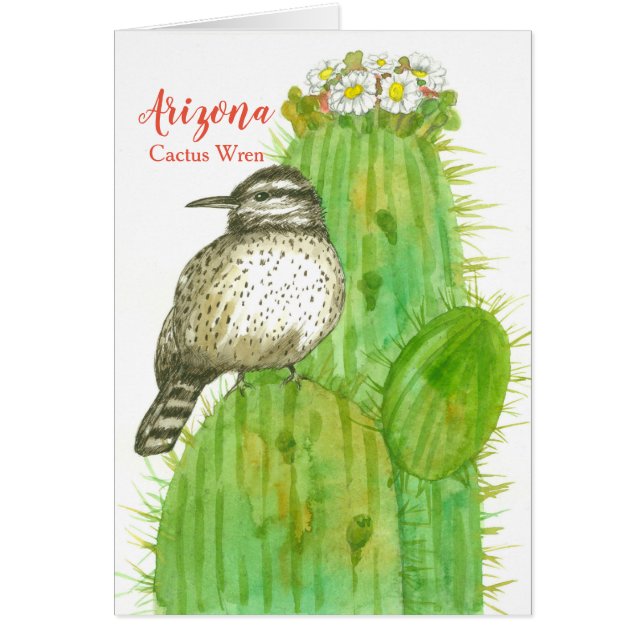 Hello From Arizona Cactus Wren Saguaro (Front)