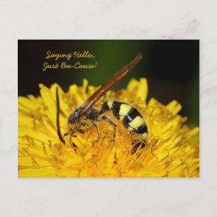 Hello From Bee On Yellow Dandelion Flower Postcard