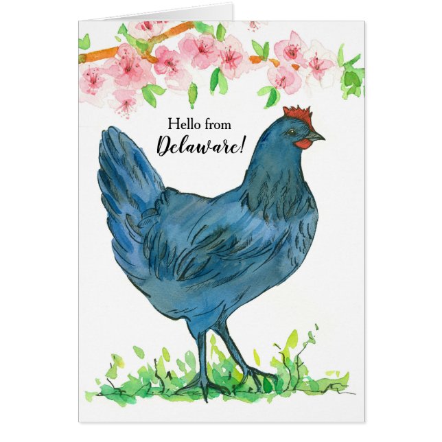 Hello from Delaware Blue Hen Chicken Blank (Front)