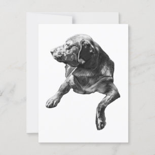 Hello from Evergreen Corners Postcard