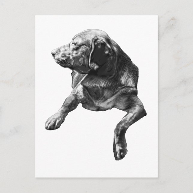 Hello from Evergreen Corners Postcard (Front)