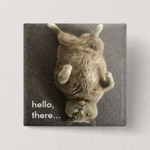 hello from Fiona the Big Blue Cat 15 Cm Square Badge
