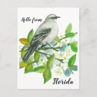Hello From Florida Mockingbird Orange Blossom
