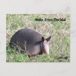 Hello, from Florida! Postcard