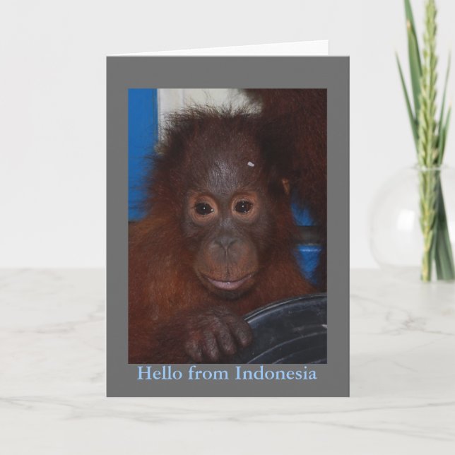 Hello from Indonesia Orangutan Photo Card (Front)